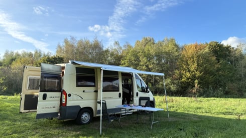 Fritz – Autobus Pössl a due posti del 2012