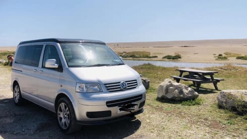 Ginny β 4 berth Volkswagen campervan from 2009