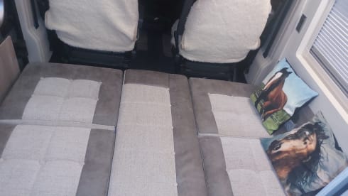 4 berth Fiat campervan from 2023
