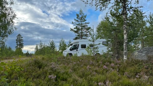 Trend Nomad – Go explore, luxe camper (2022) vol opties en complete inventaris