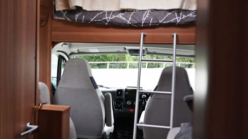 Sycamore – are you ready to explore!