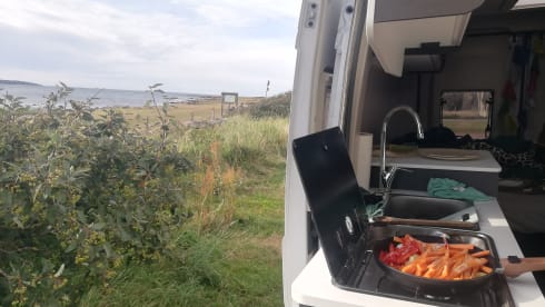 Bushmobiel – MCLOUIS Menfys campervan