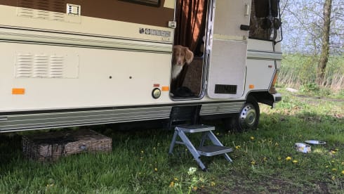 Oldtimer Hymer from 1986 for 4 persons