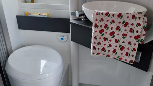 Brixton – 2P Adria Mobil Bus camper from 2021
