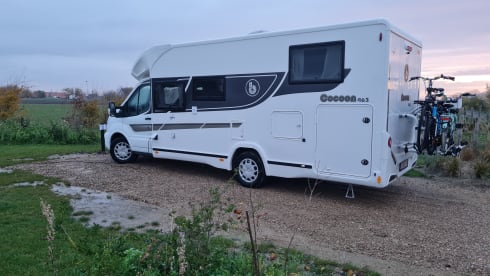 New Benimar Cocoon 463