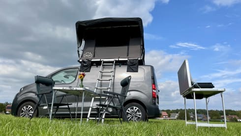 2p Peugeot rooftop from 2019