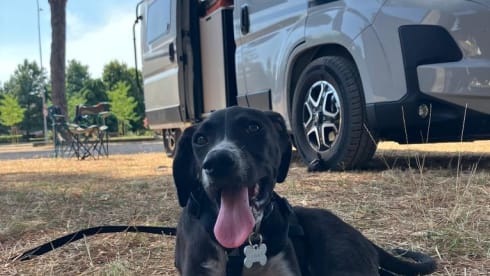 Vanducie – Bus Fiat à 5p à partir de 2025