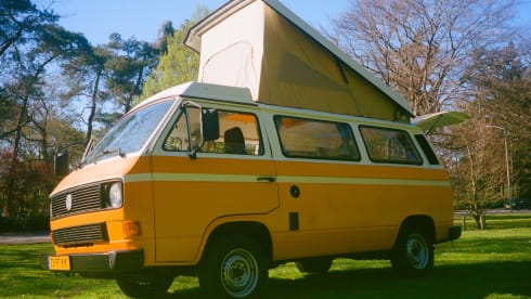 ALLIE – Volkswagen T3