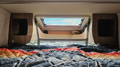 Bobby – 4p Bürstner semi-integrated uit 2014