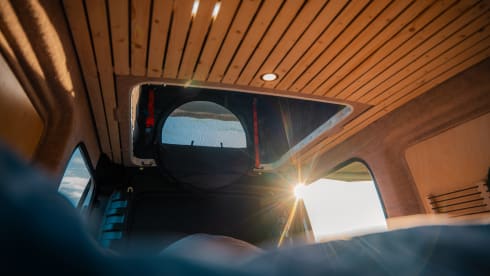 Lizzie – Economical camper van from 2024