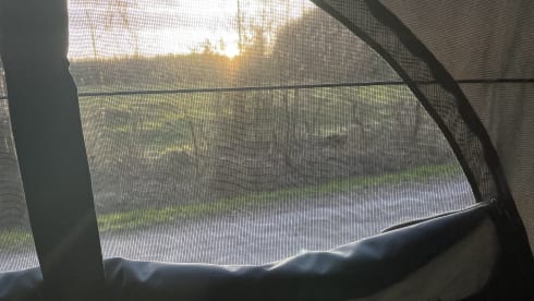 Wali – 4p Volkswagen campervan from 2010
