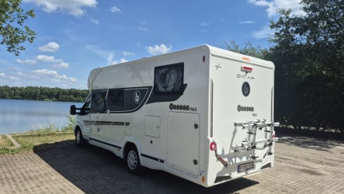 Cocoon 463 – 4p Benimar semi-integrated uit 2023