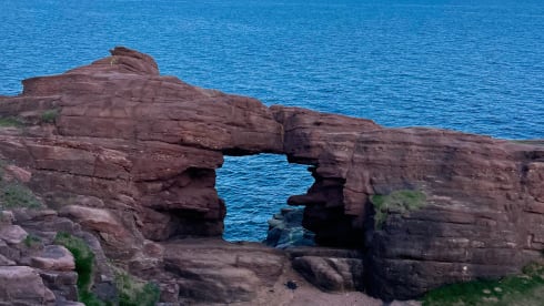 Bamboo Buck – Hashtagcampeurs 