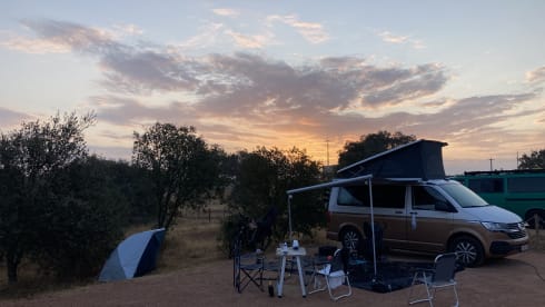 Callie – 4p Volkswagen bus uit 2022