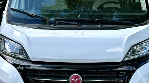 2p Pilote integrated from 2019