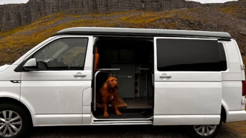 Jeff – VW Campervan - 6 seats