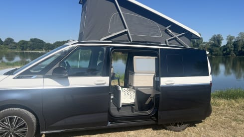 Ocean – Nieuwe California Ocean T7