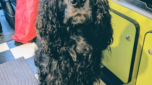 Sunshine  – Sunshine un T6.1 4 couchages Assurance incluse.