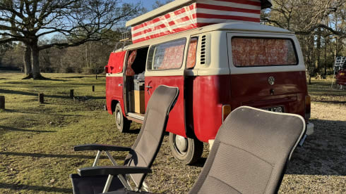 Rosie – Take me out for a retro adventure with your friends, family and pets