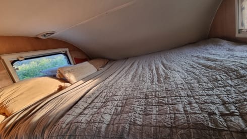 Caroline – Ready to Adventure - 6 Berth Motorhome Hire