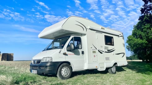 Molly – Molly (spacious and heated!)