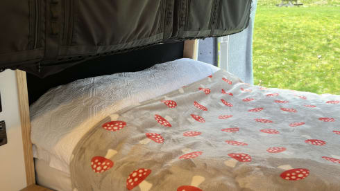 Henry – Citroën-Bus mit 2 Schlafplätzen aus dem Jahr 2017