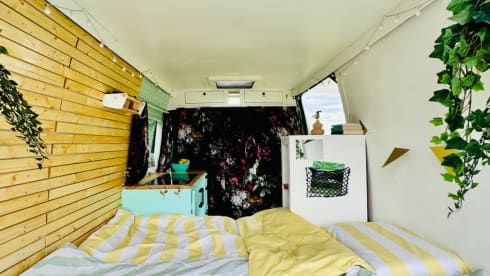 Loeka – Campeggiatore "Luca"