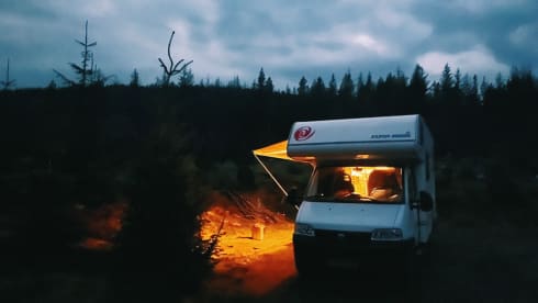 BAMBO WHEELS – Spacious nice family camper