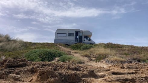 Laika Ecovip 3L in perfette condizioni.