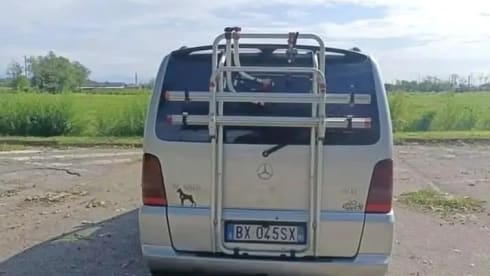 Mercedes Vito Van