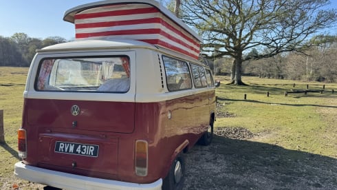 Rosie – Take me out for a retro adventure with your friends, family and pets
