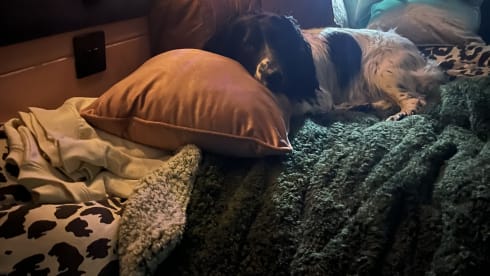 Heidi – 2 Berth Campervan