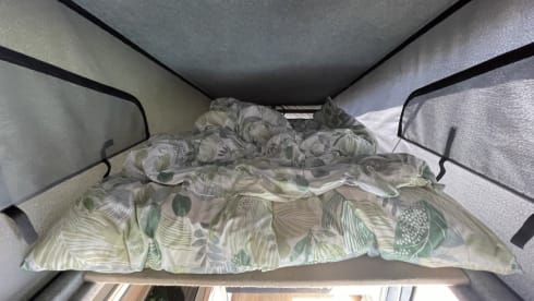 4-Birth VW T6