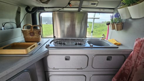 Nugget (chicken) – Festival camper, 4 persoons nugget!