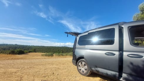 Dolo  – Volkswagen Cady California 