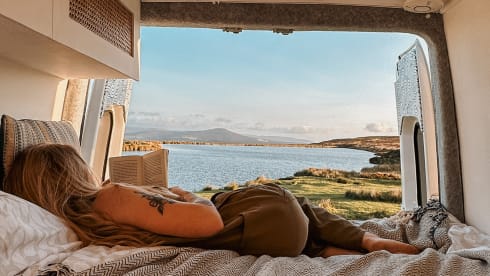 Alfredo – Alfredo - The perfect adventure companion 