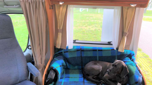 "Napoleon" – Dog friendly - roof air conditioning - powerful - luxurious - complete