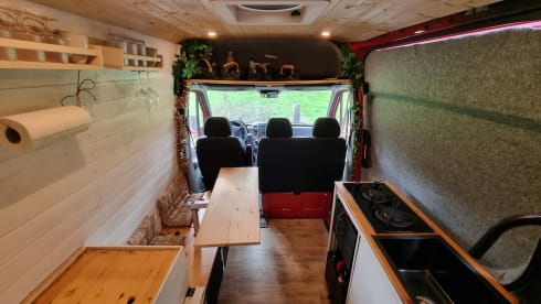 Firefly – The bus camper with a large comfy bed & easy to drive