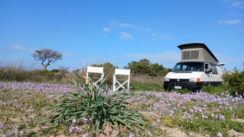 VAN TAGE – VOLKSWAGEN  VANTASTIK