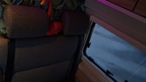 MoBillie on the road – 4p Hymer bus from 2021