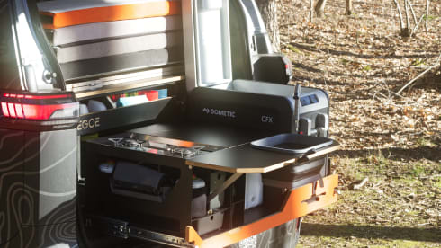 Buzzer – Roadtripper ID Buzz