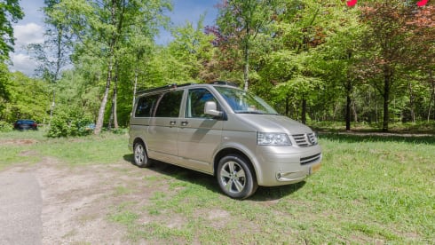 Alice The Van – Künstlerischer Dschungelcamper