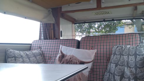 Izzy a Retro VW T2 Bay Classic - A Time Warp With Modern Comforts