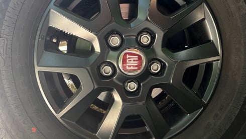 Onzen Bie  – 2p Fiat bus from 2023