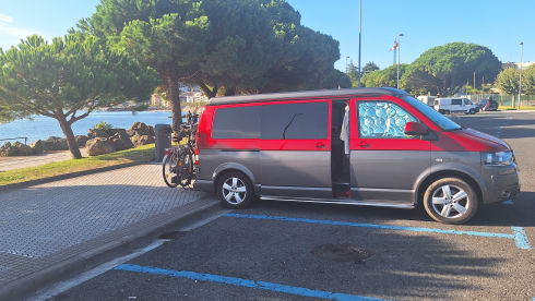 Mambo No.1 – Volkswagen Campervan 'Extra long' 