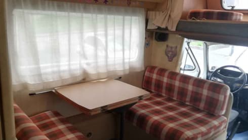 Bala-Laika – CampeRitz! - Bala-Laika