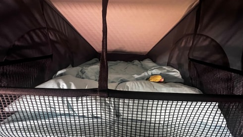 Frida  – Dreamer 55UP large campervan