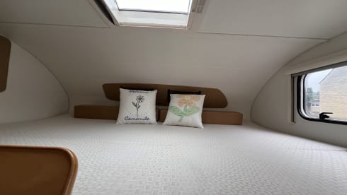 Camomile – Camomile - I'm waiting to share your special festival or family holiday