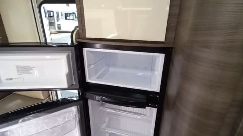 5p Roller Team alcove 2020