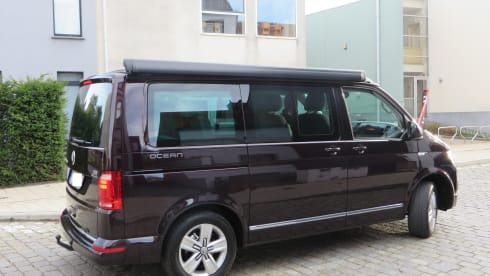 Volkswagen California Ocean